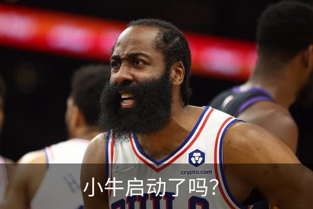 小牛启动了吗？